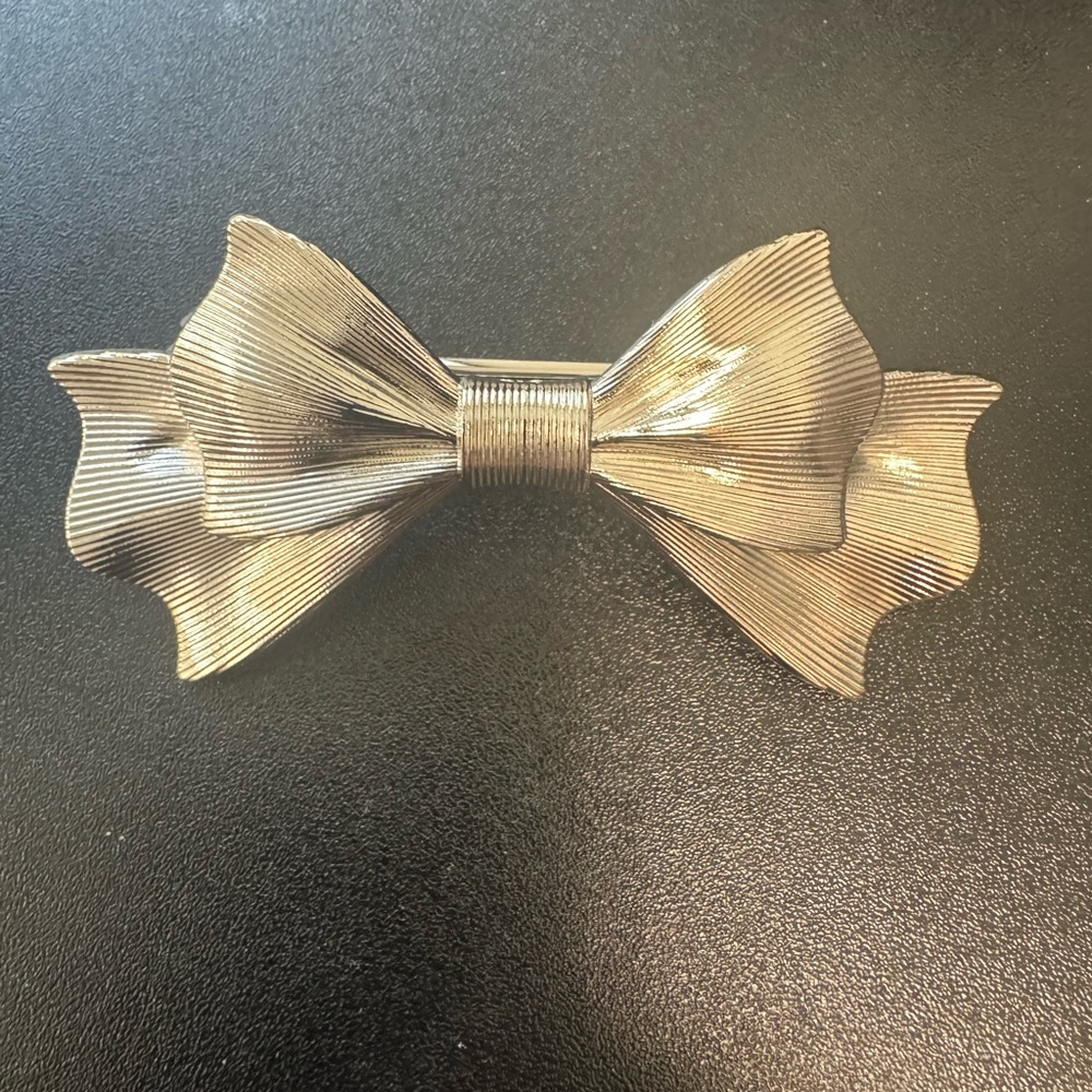 Silver hair Barrette